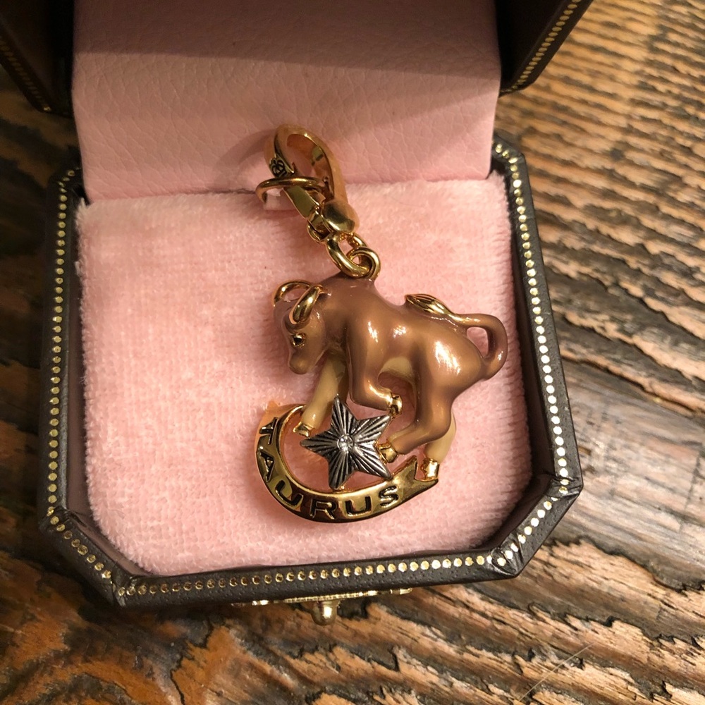Juicy Taurus Charm YJRU0998
